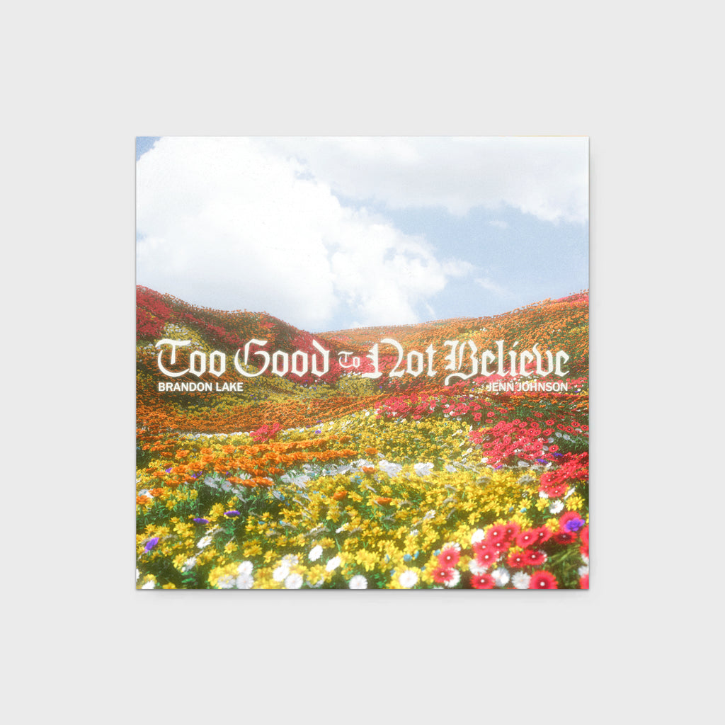 Too Good to Not Believe (Studio) Single