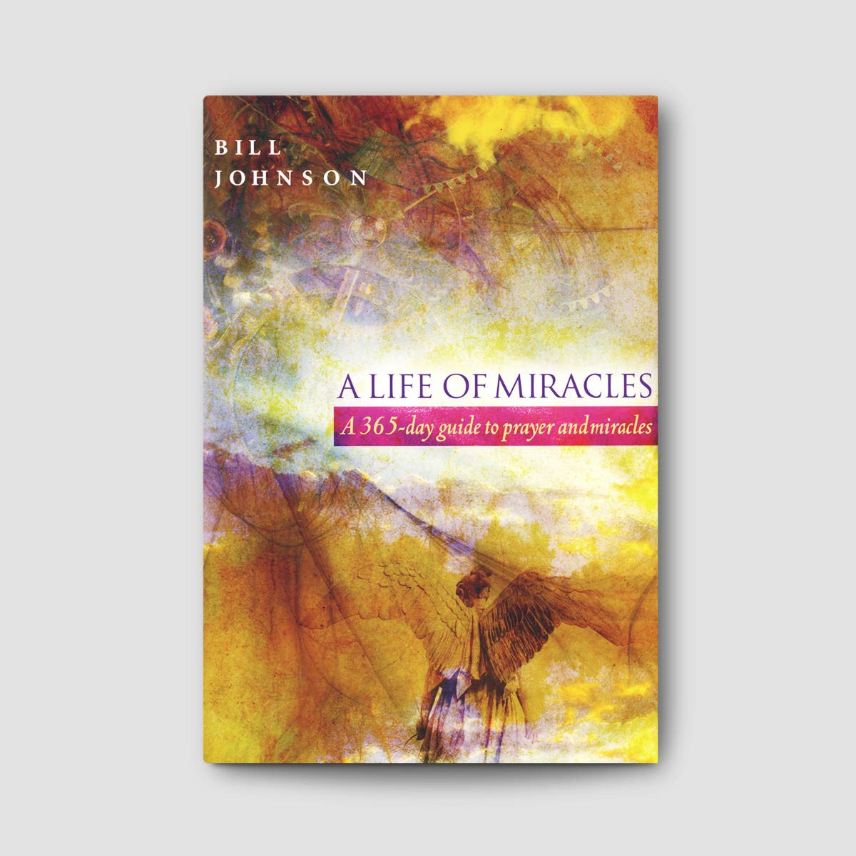 A Life of Miracles: A 365 day guide to prayer and miracles