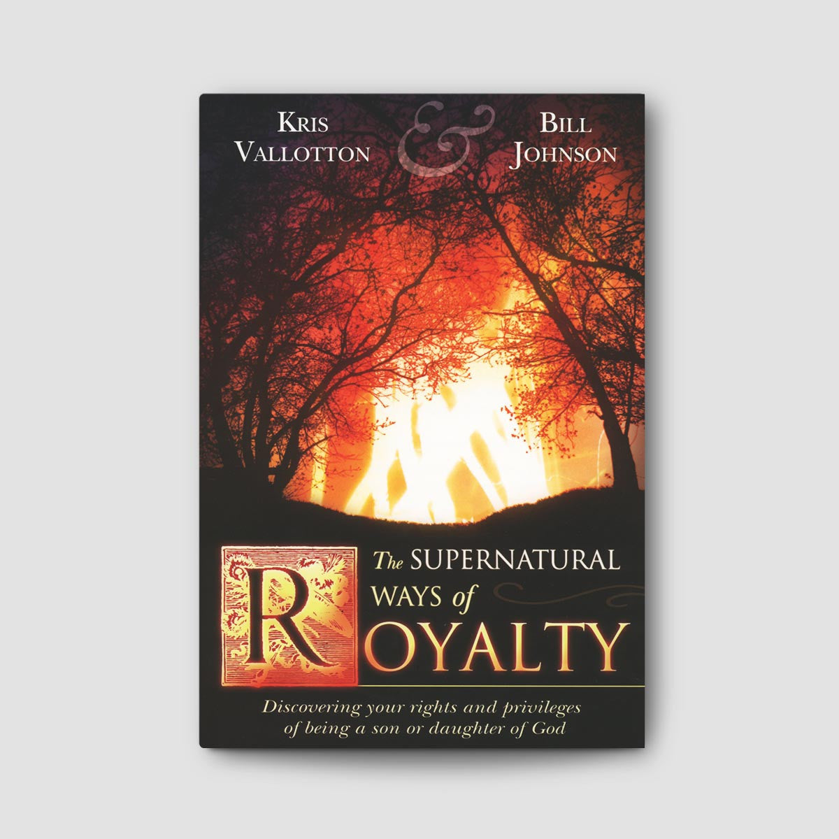 The Supernatural Ways of Royalty Book