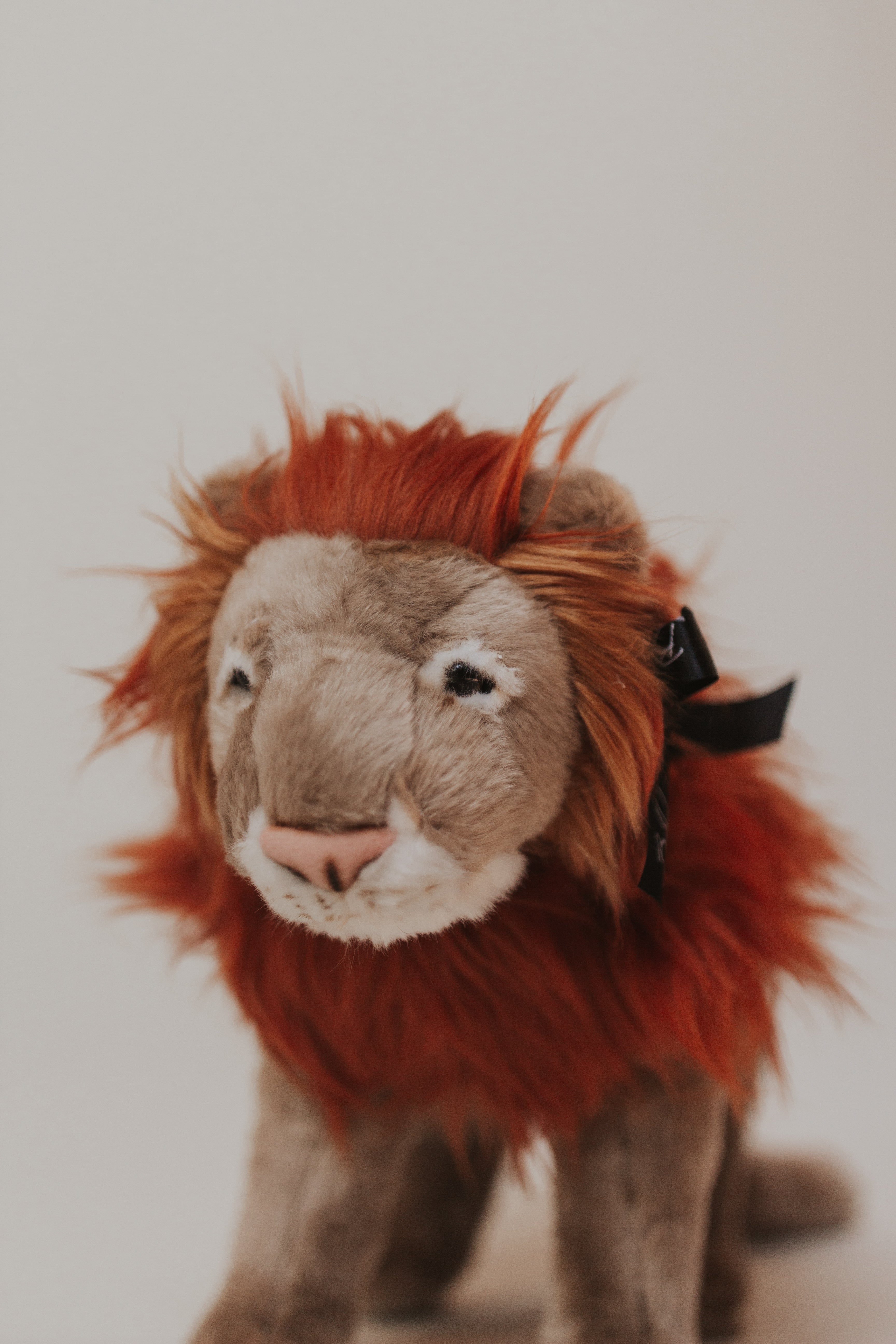 Stuffed Animal - 16 inch Lion