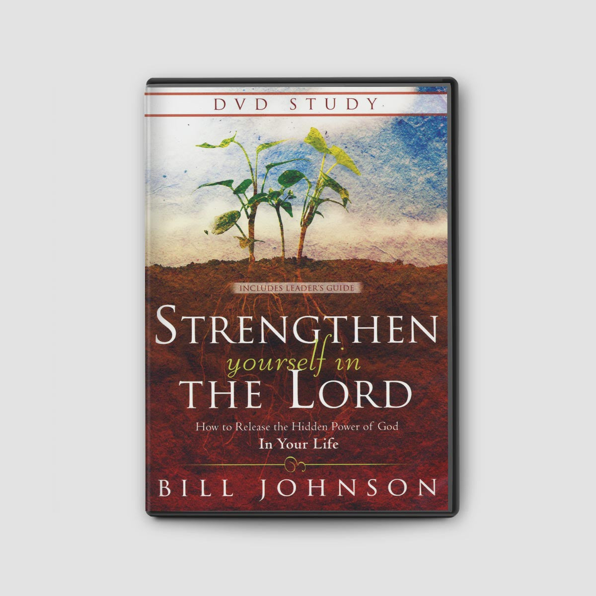 Strengthen Yourself In the Lord Curriculum DVD