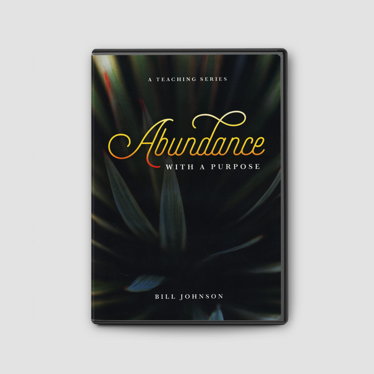 Abundance With a Purpose DVD