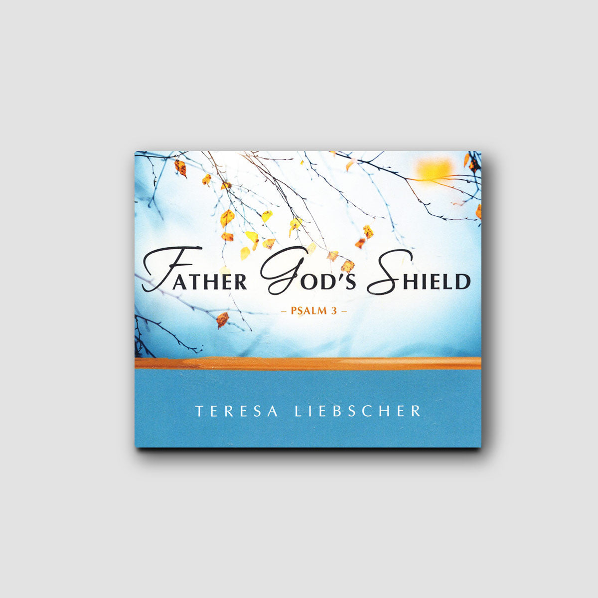 Father God's Shield: Psalm 3 - Audio