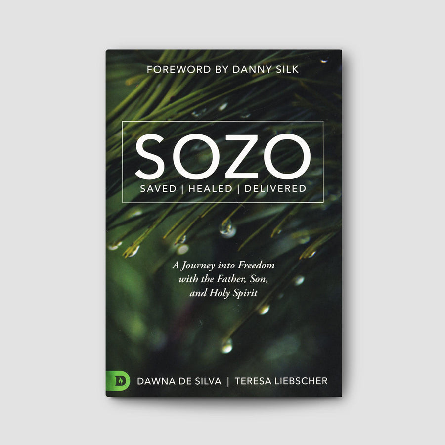 Sozo Saved Healed Delivered Bethel Store