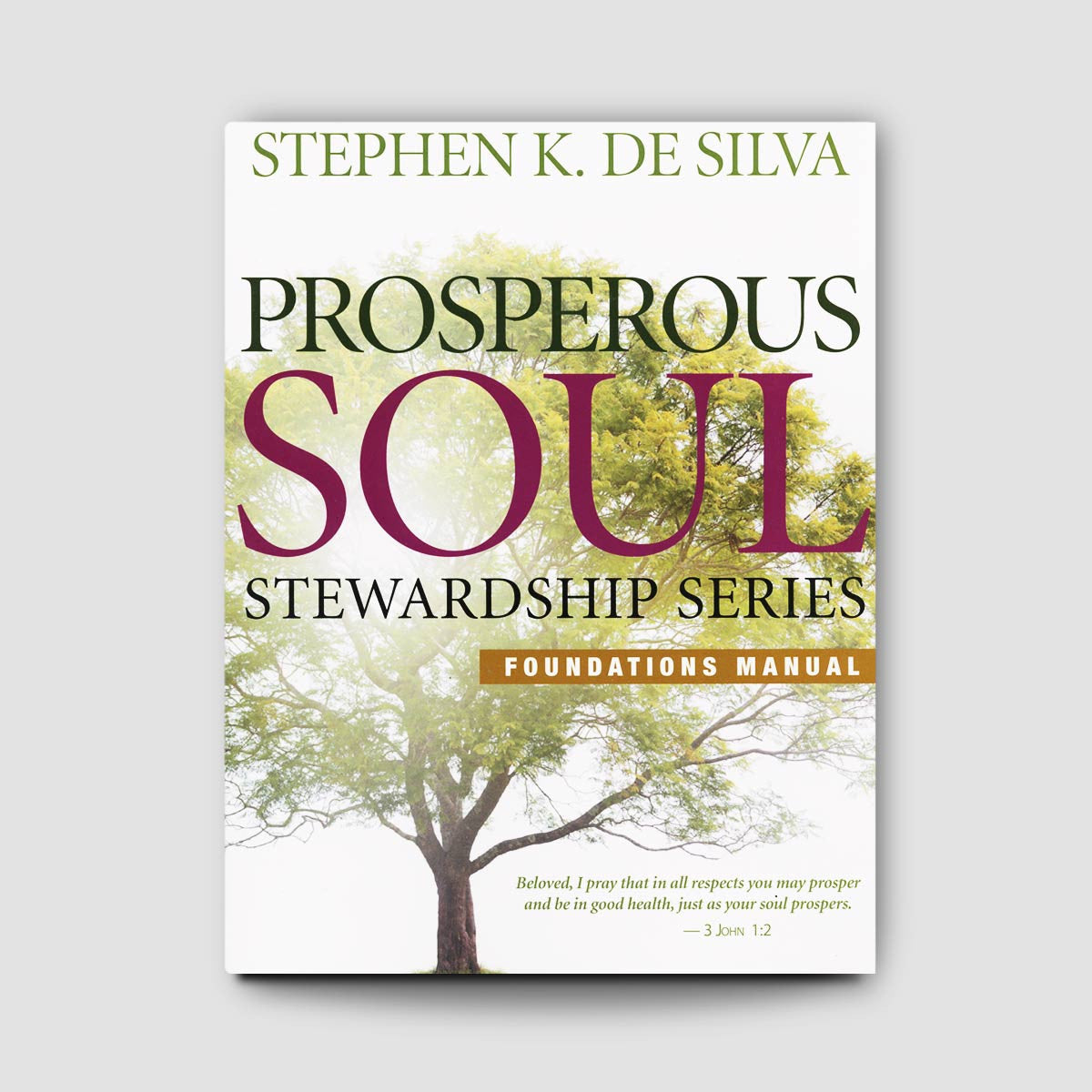 Prosperous Soul Foundations Manual