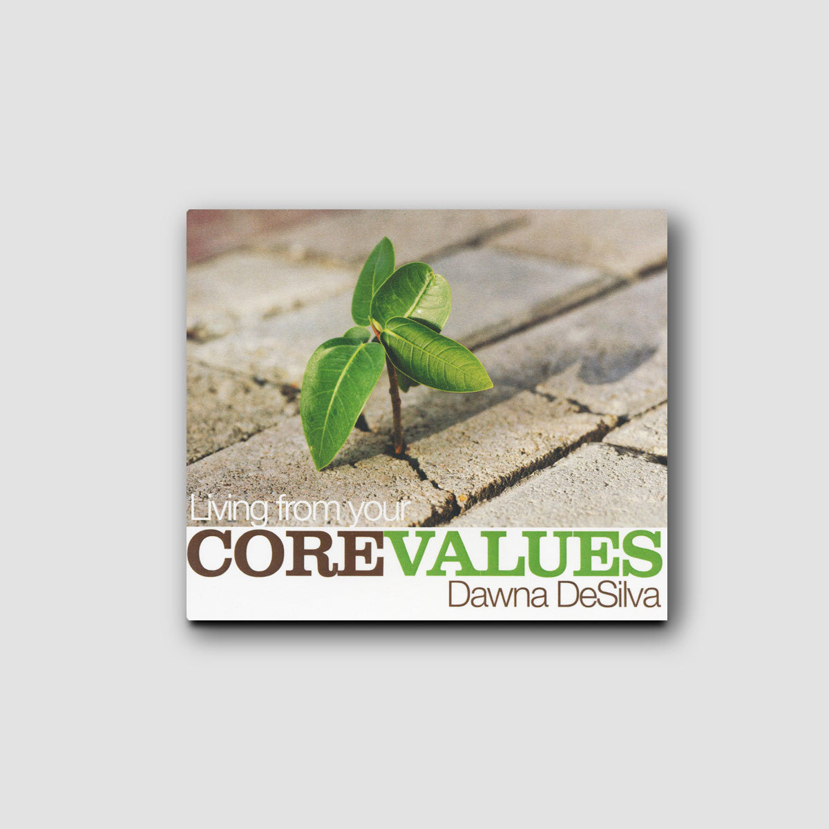 Living from your Core Values MP3