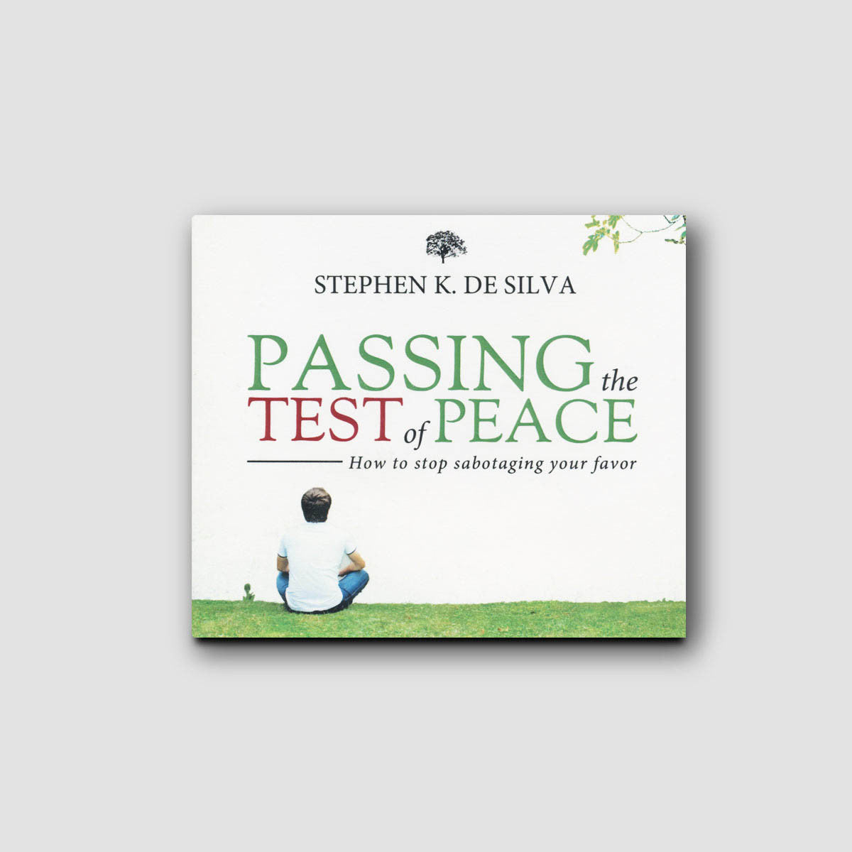 Passing the Test of Peace - Audio