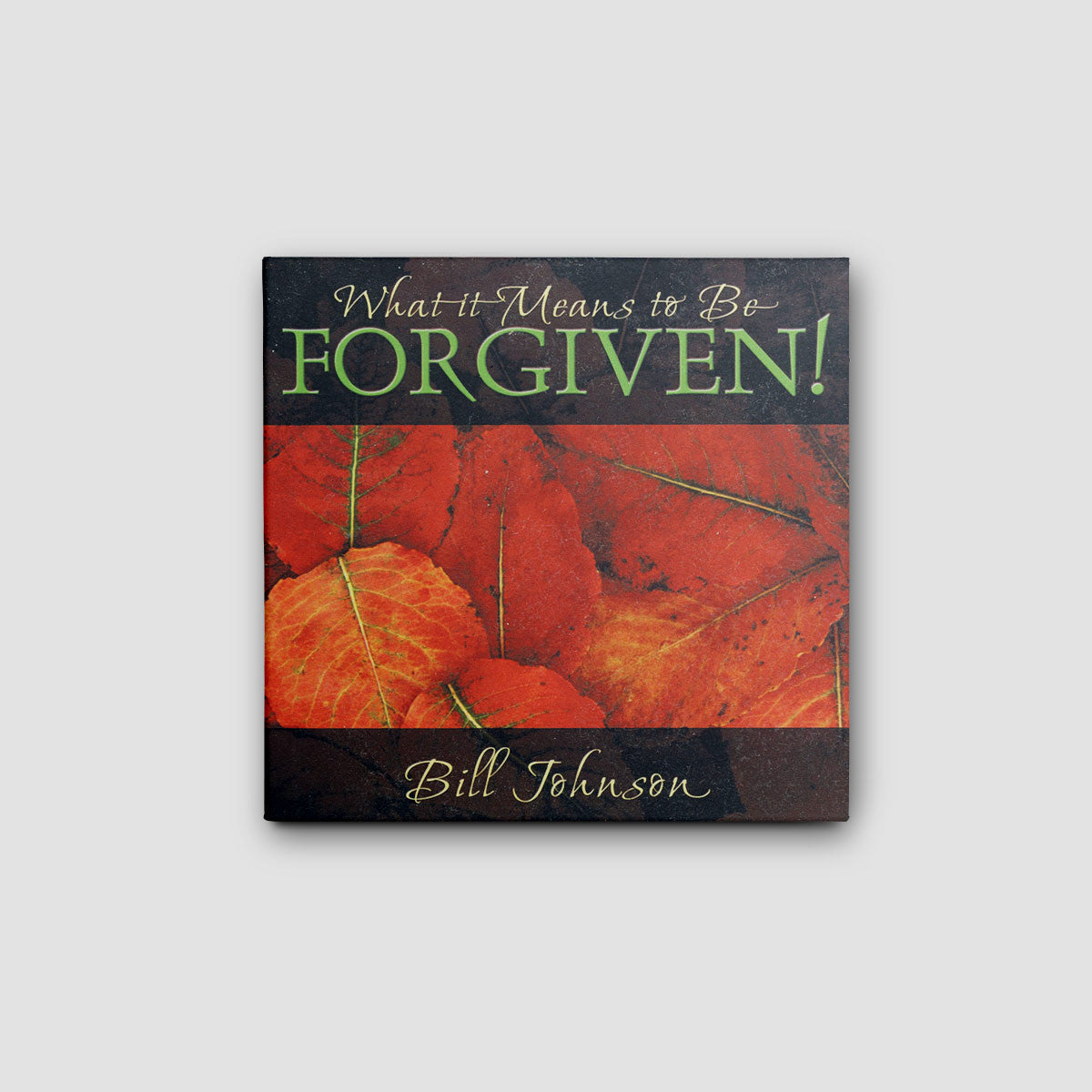 What it Means to be Forgiven - Audio