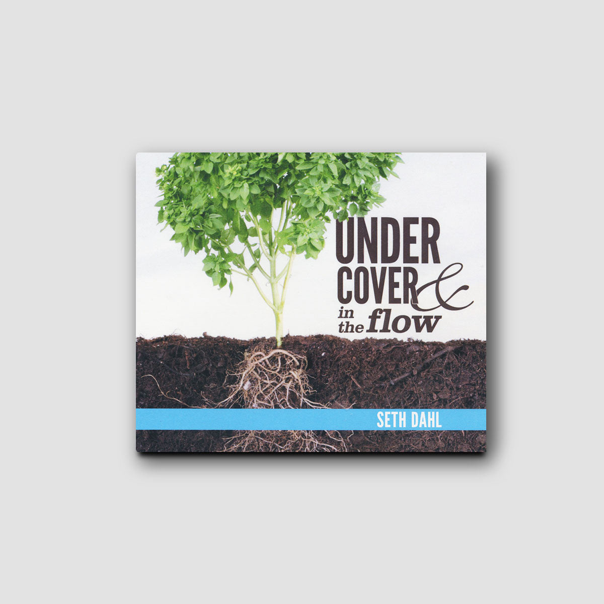 Under Cover and In the Flow - MP3