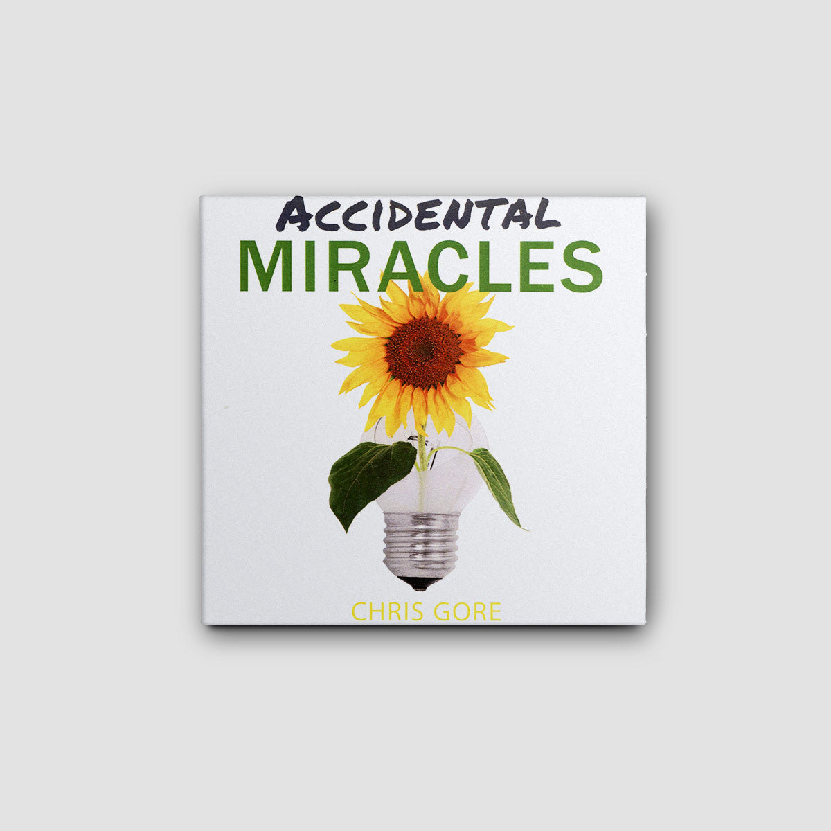 Accidental Miracles - Audio