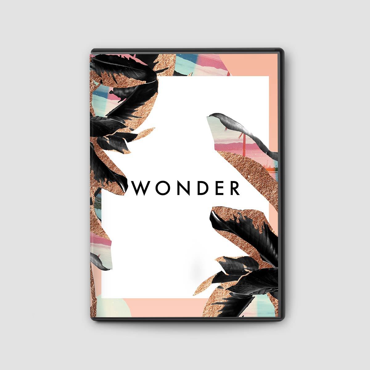 Wonder: Bethel Women's Conference August 2017 CD