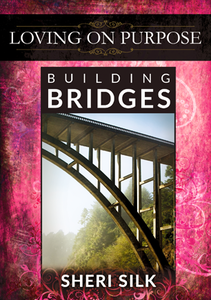 Building Bridges DVD