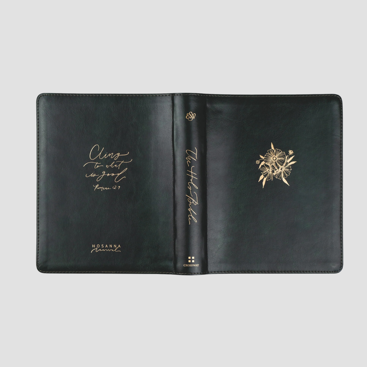 Hyde Park ESV Journaling Bible