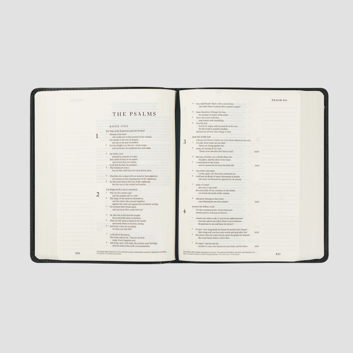 Hyde Park ESV Journaling Bible