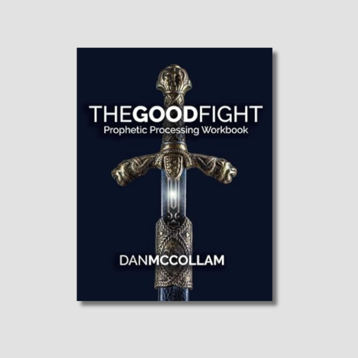 The Good Fight: Prophetic Processing Workbook