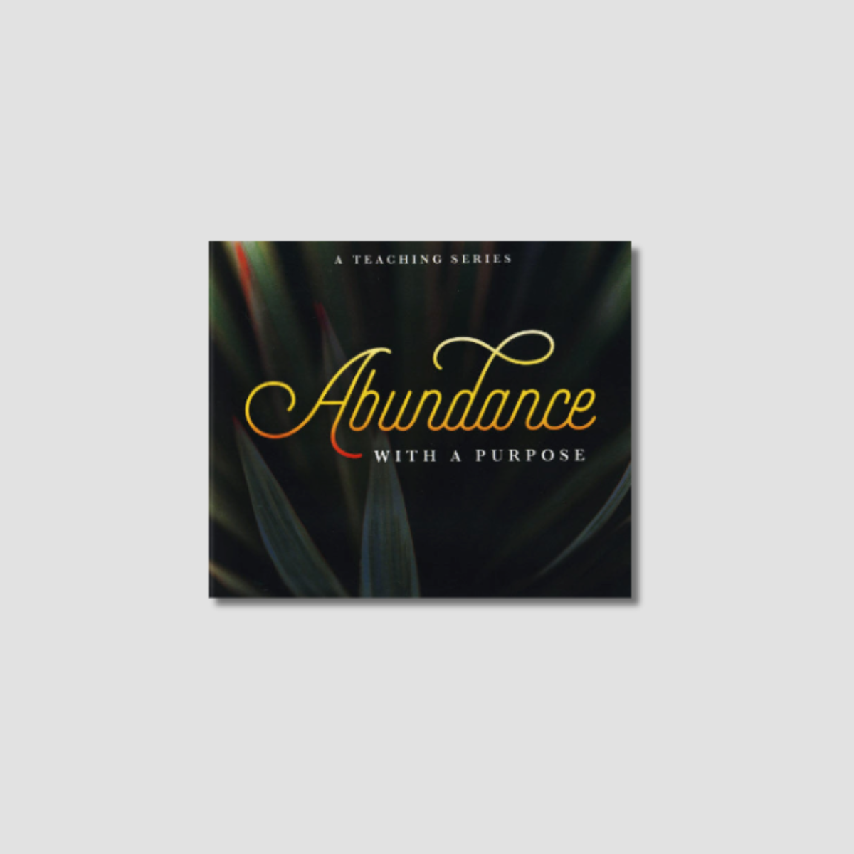 Abundance With a Purpose - Audio