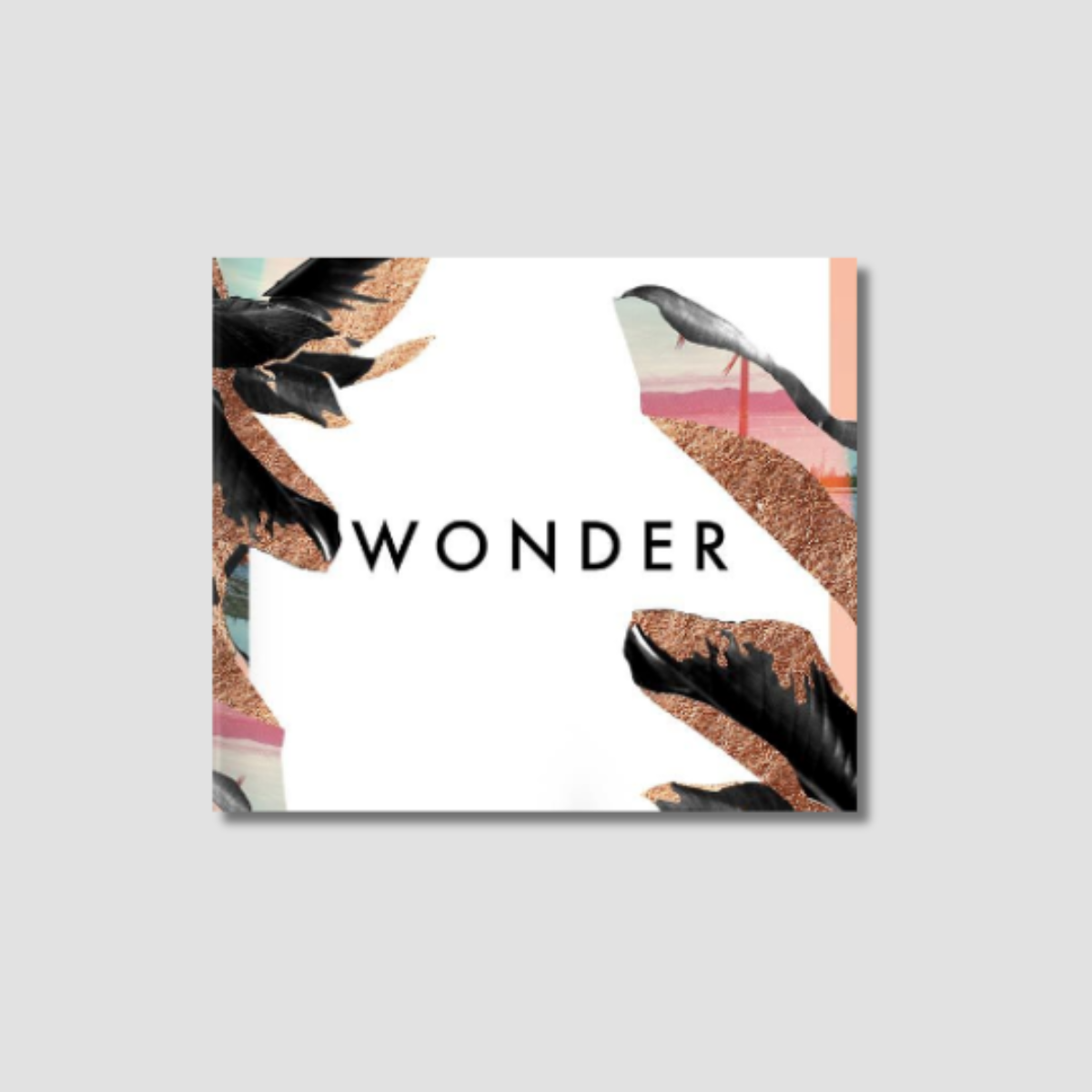 Wonder Conference 2017 - Audio