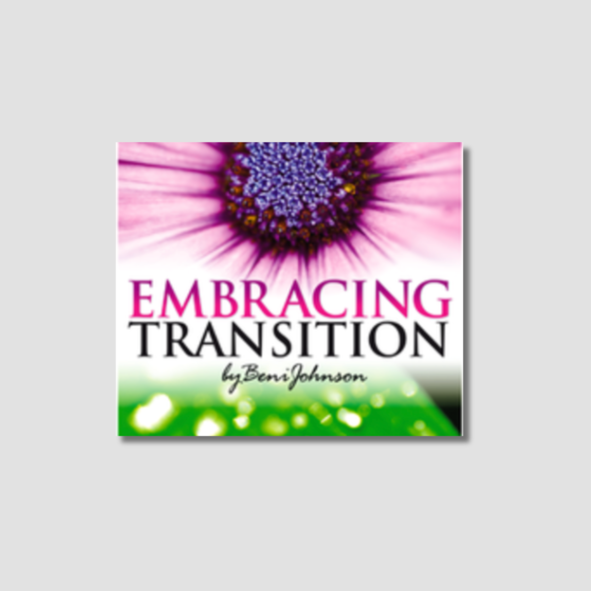 Embracing Transition MP3