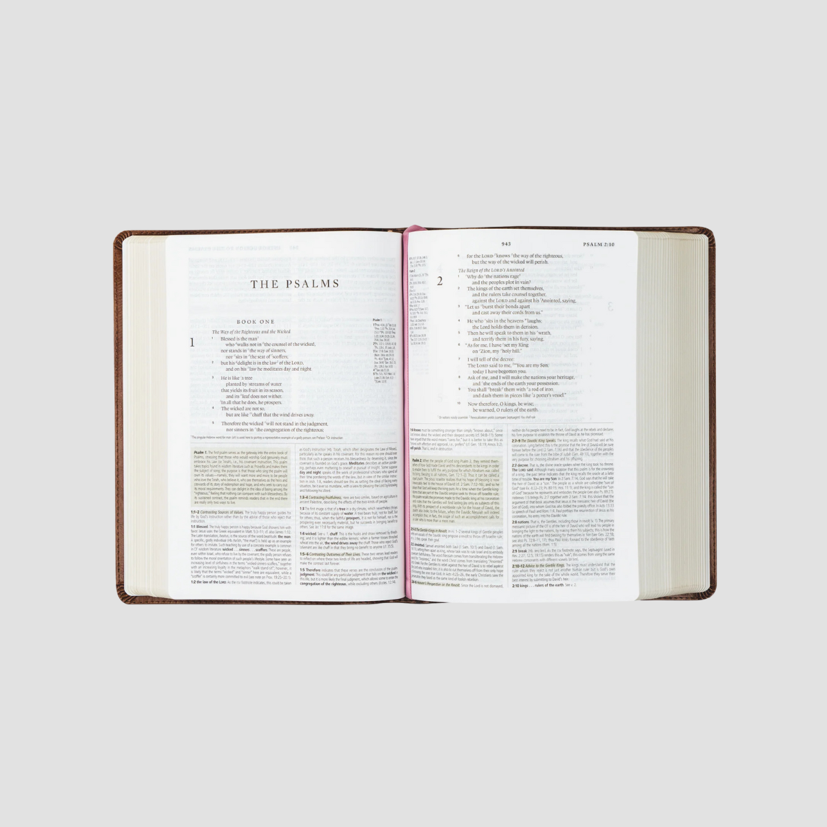 Aurora ESV Study Bible