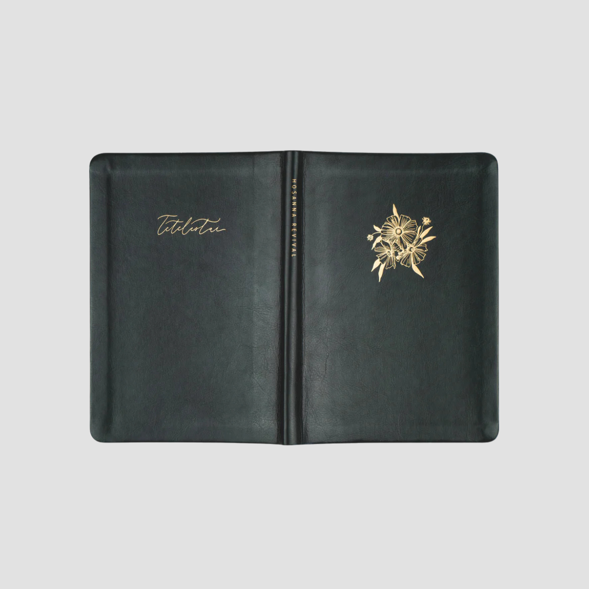 Hyde Park Notebook