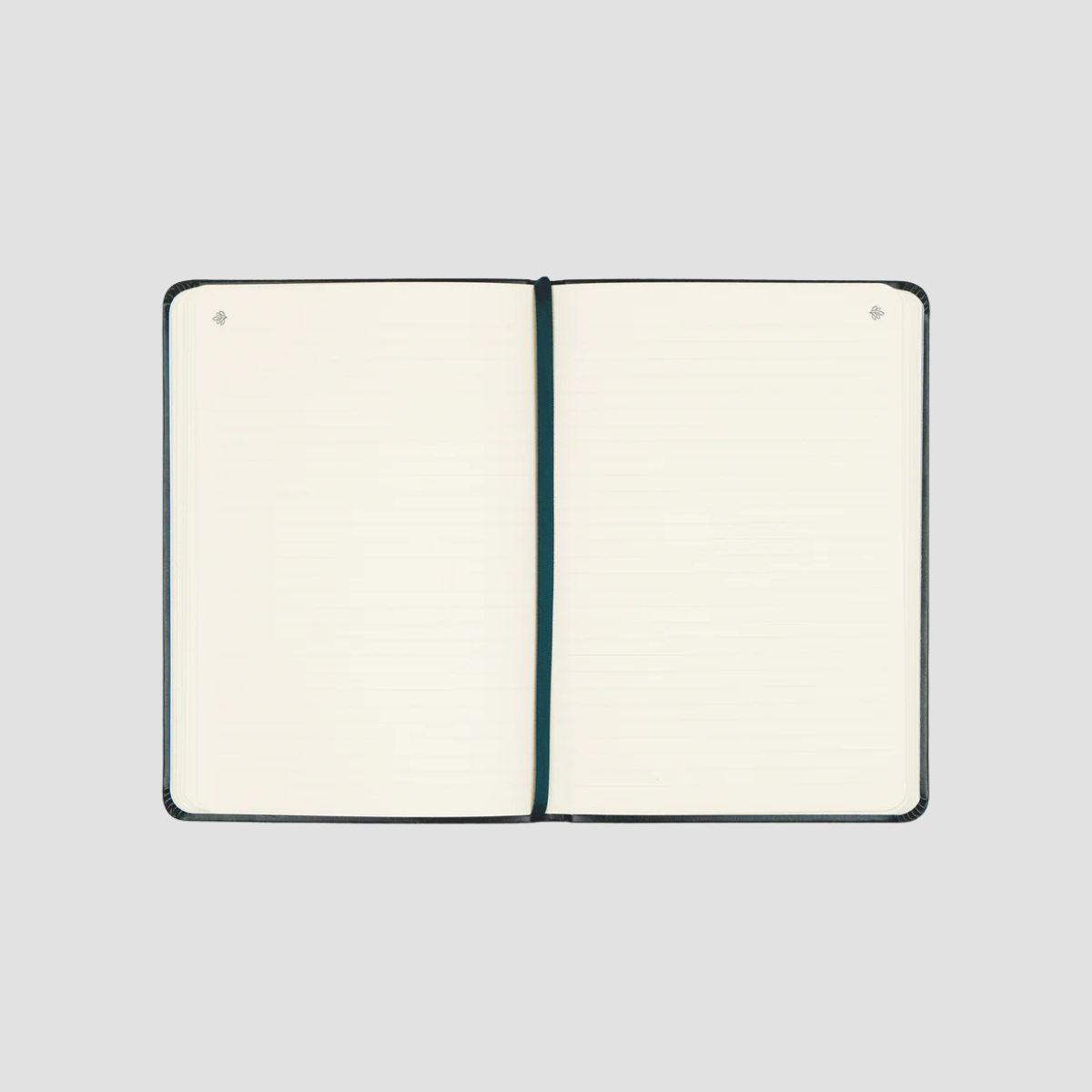 Hyde Park Notebook