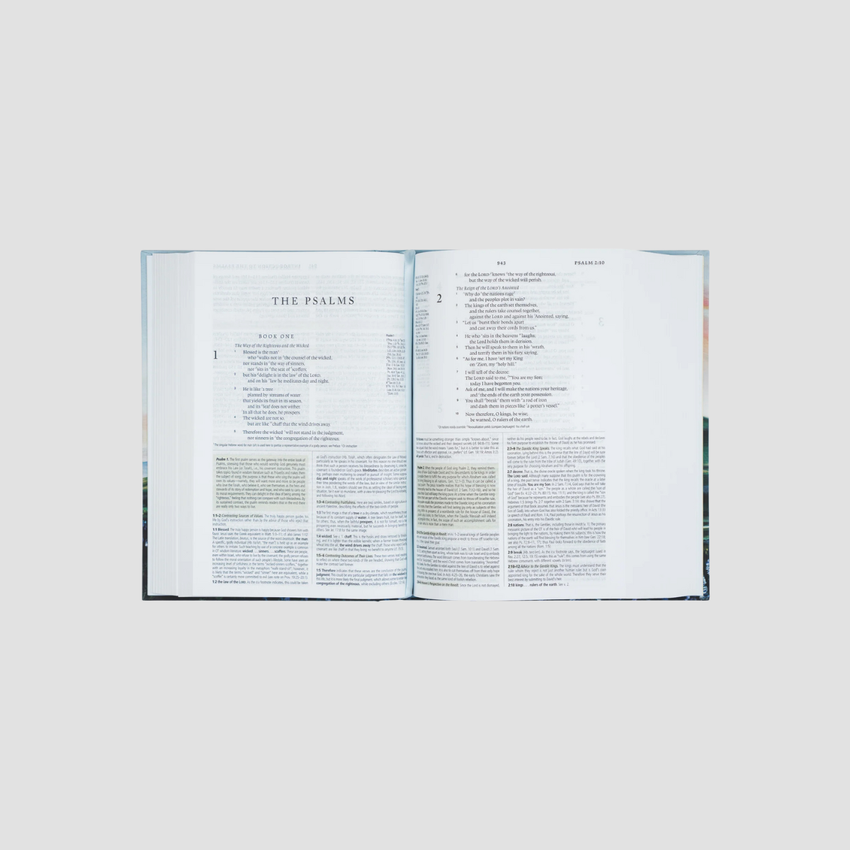 Iceland ESV Journaling Bible