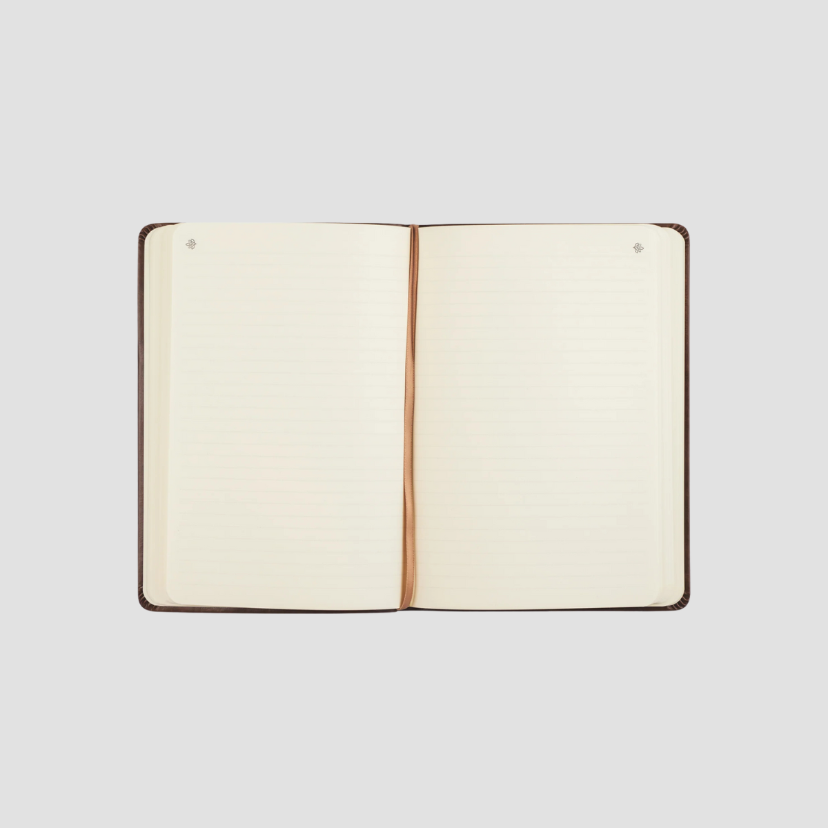 Aurora Notebook