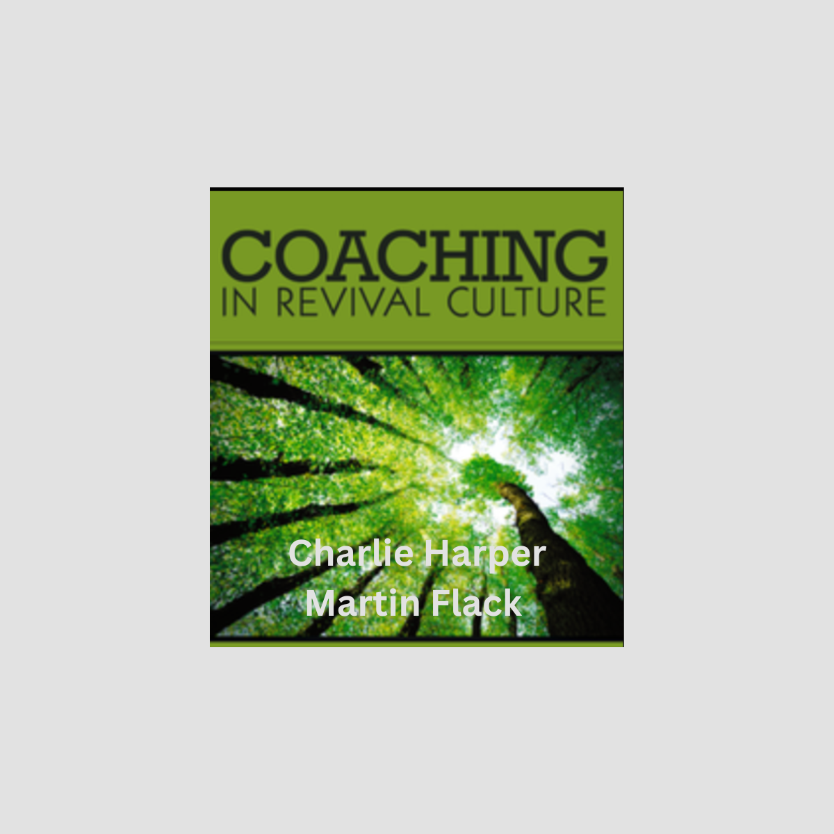 Coaching in Revival Culture - Audio