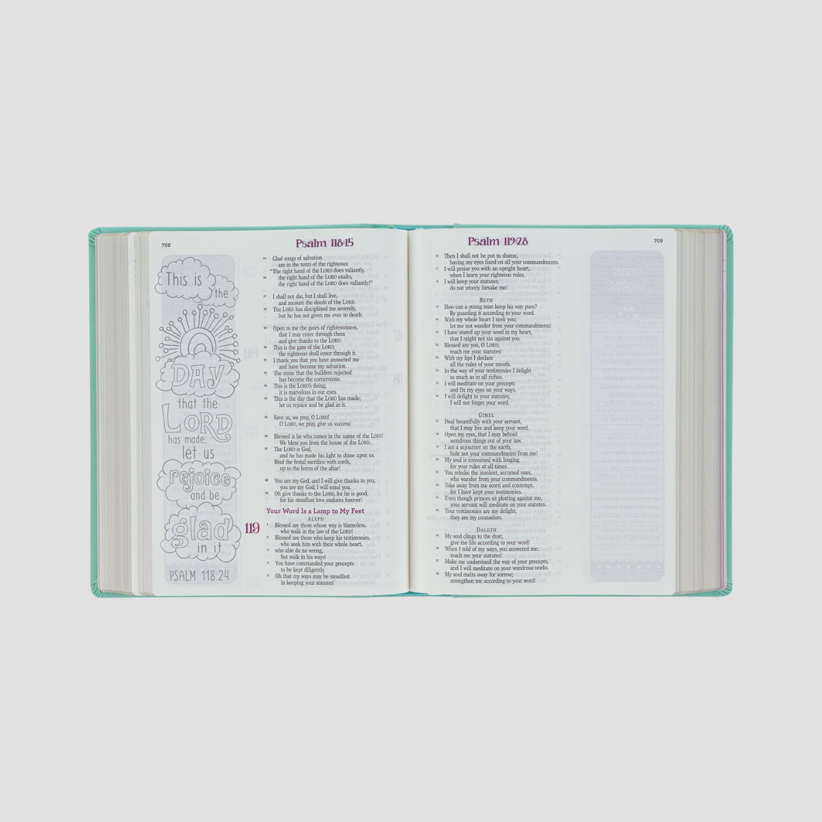 Teal Girls Bible - ESV Journaling