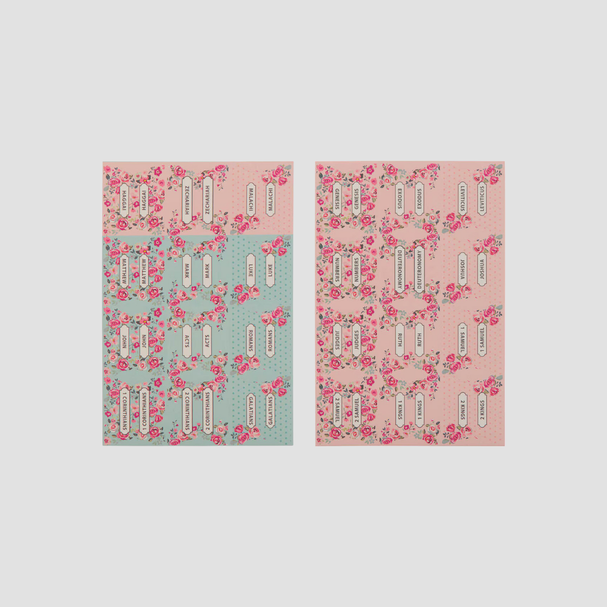 Pink and Blue Old and New Testament Bible Index Tabs