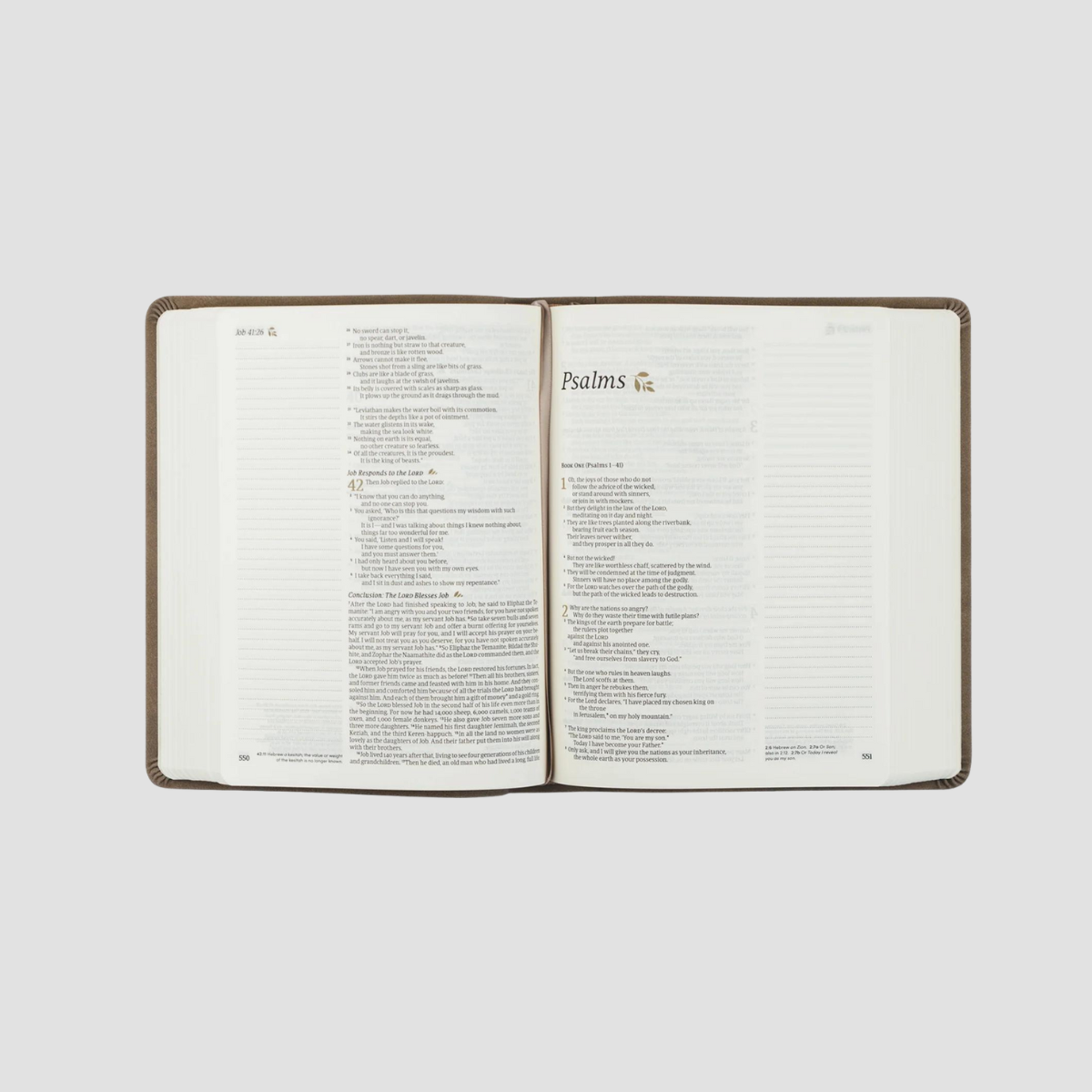 Marlo NLT Notetaking Bible