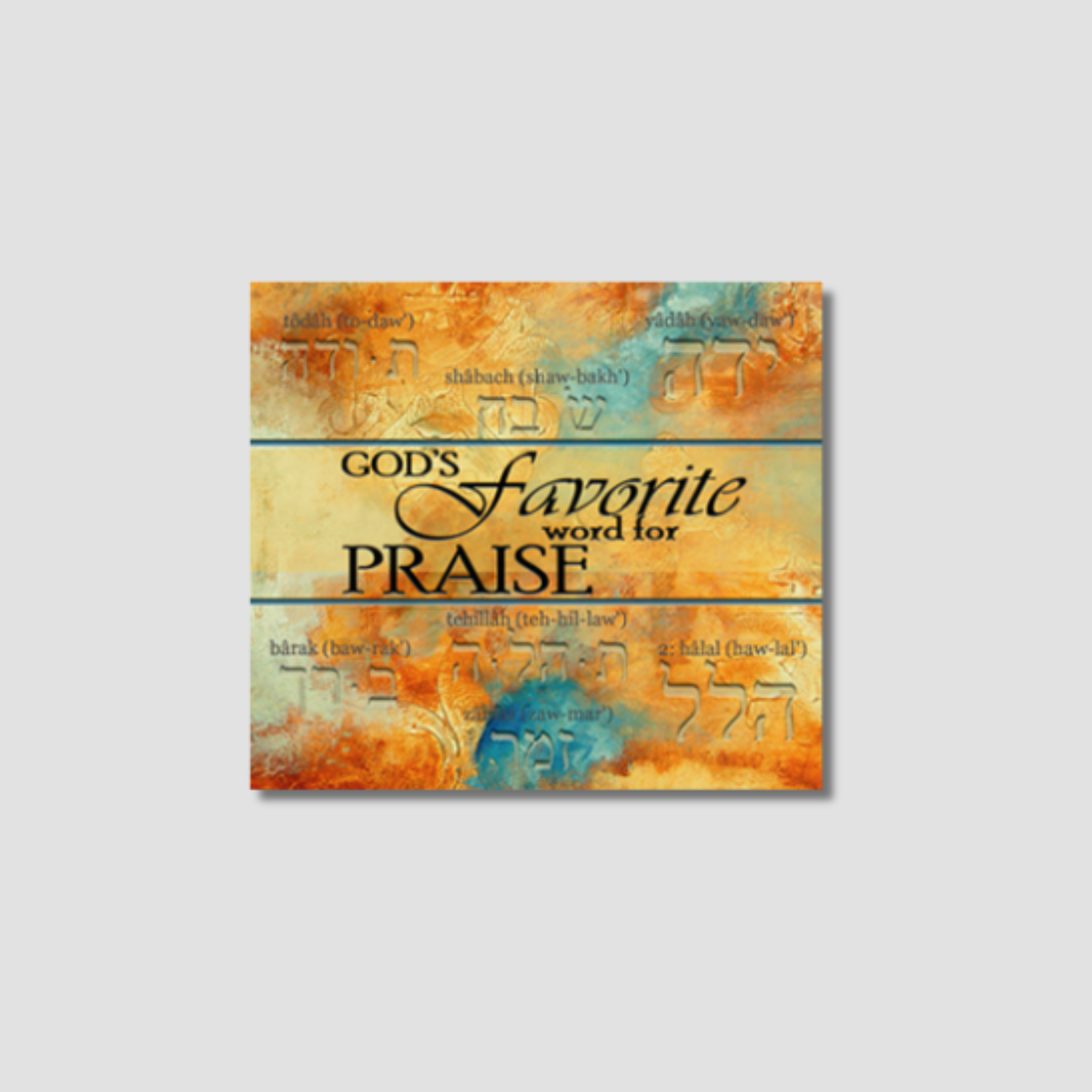 God's Favorite Word for Praise CD