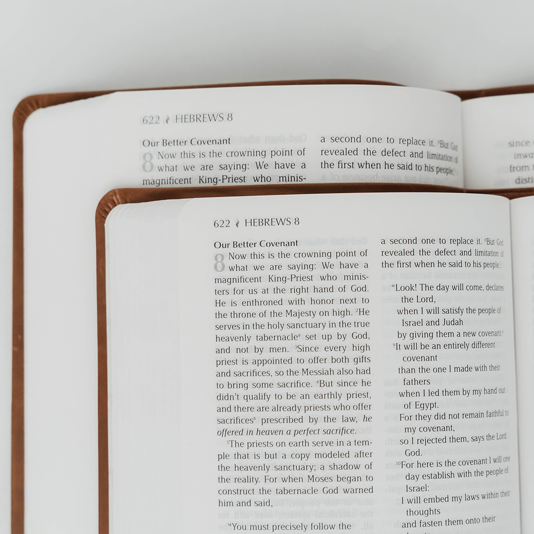 The Passion Translation Bible - Brown Large Print