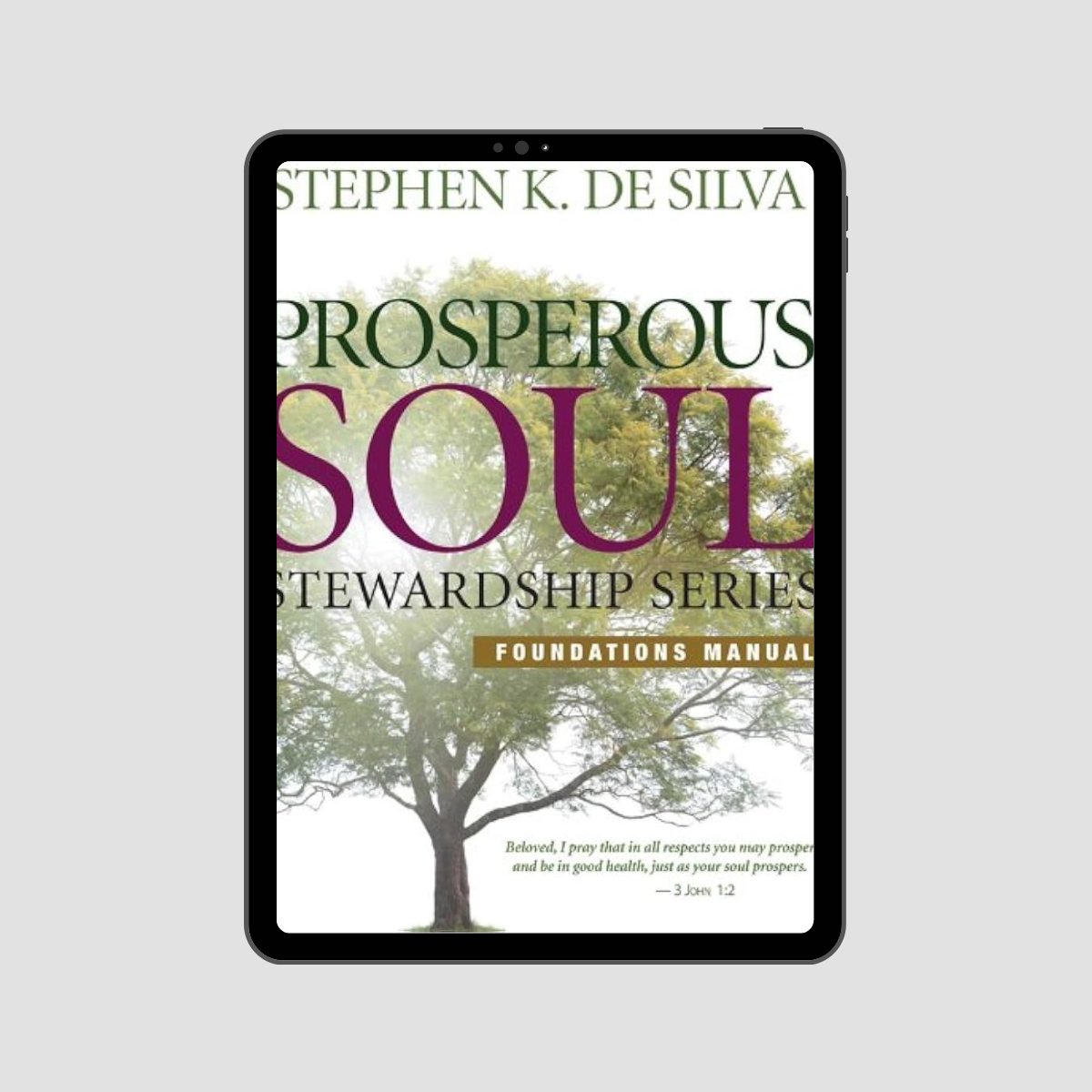 Prosperous Soul Foundations eBook