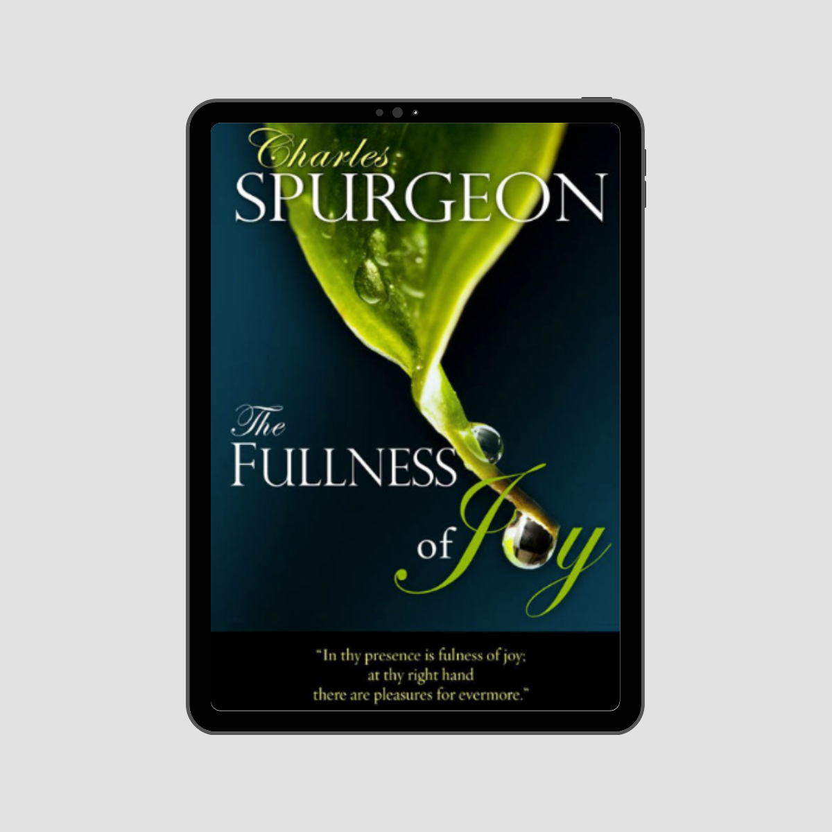 The Fullness of Joy eBook