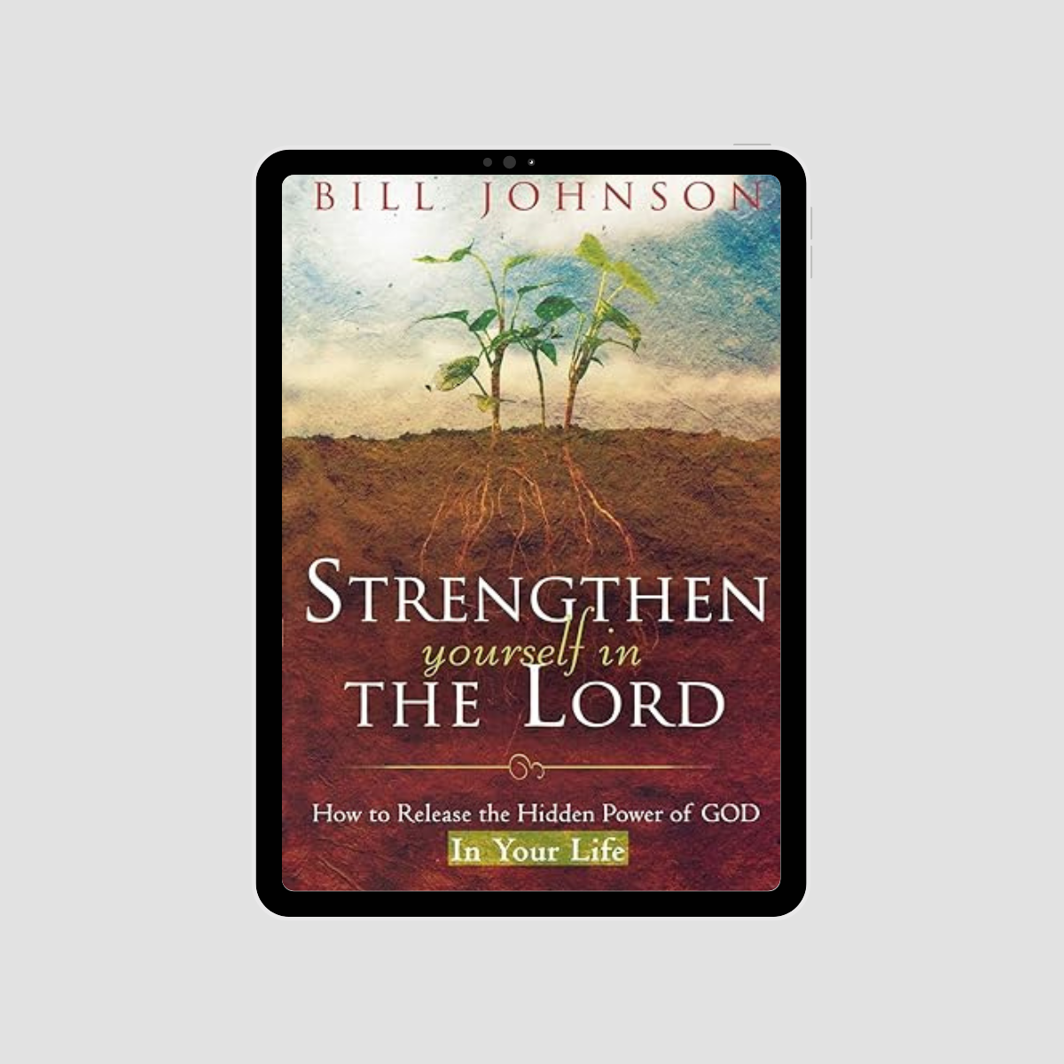 Strengthening Yourself In The Lord eBook