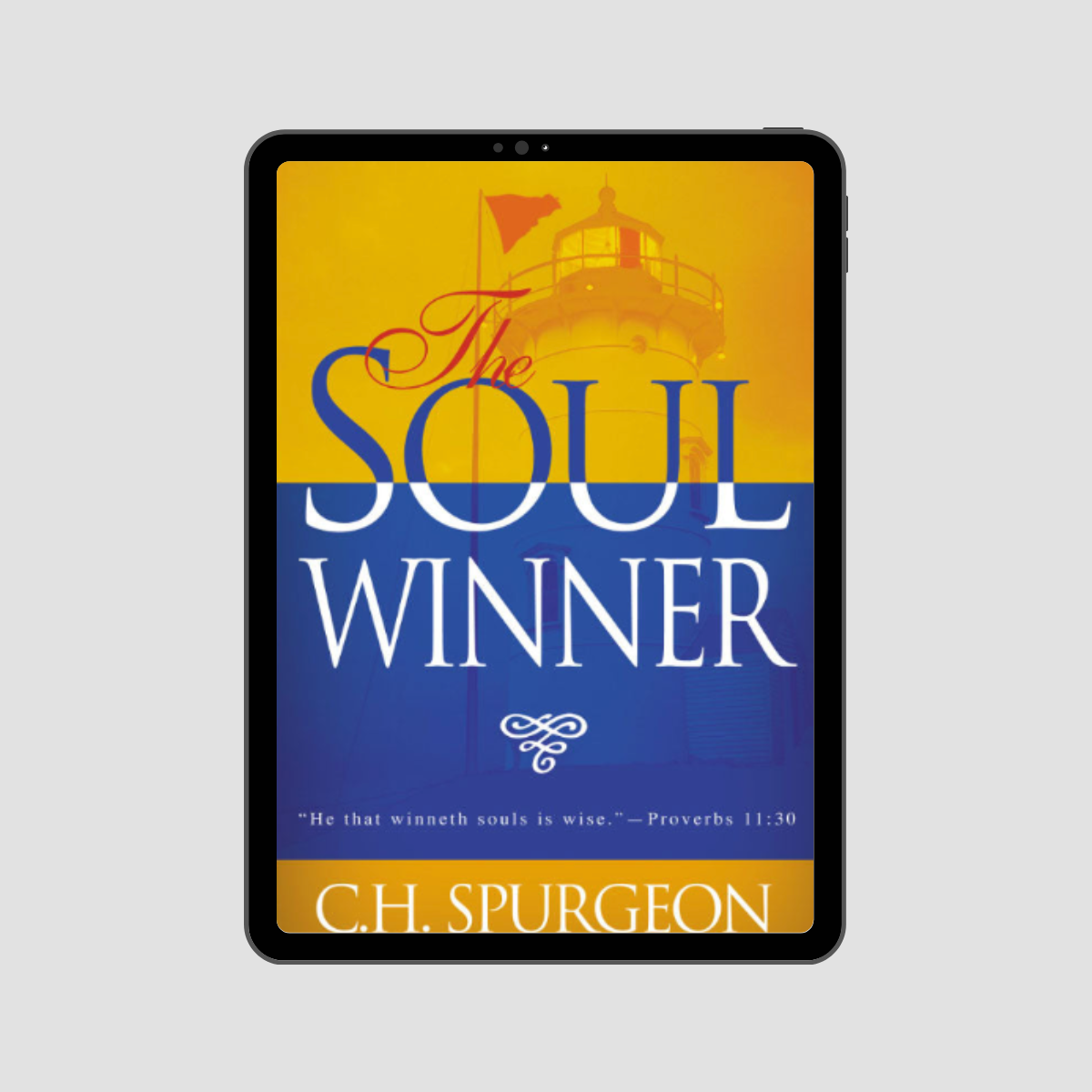 The Soulwinner eBook