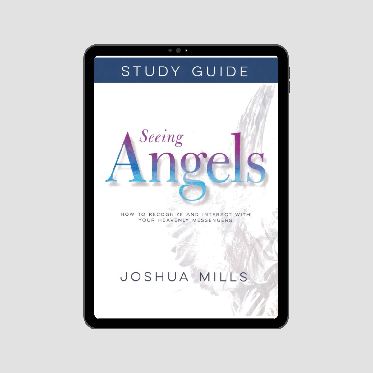 Seeing Angels Study Guide eBook