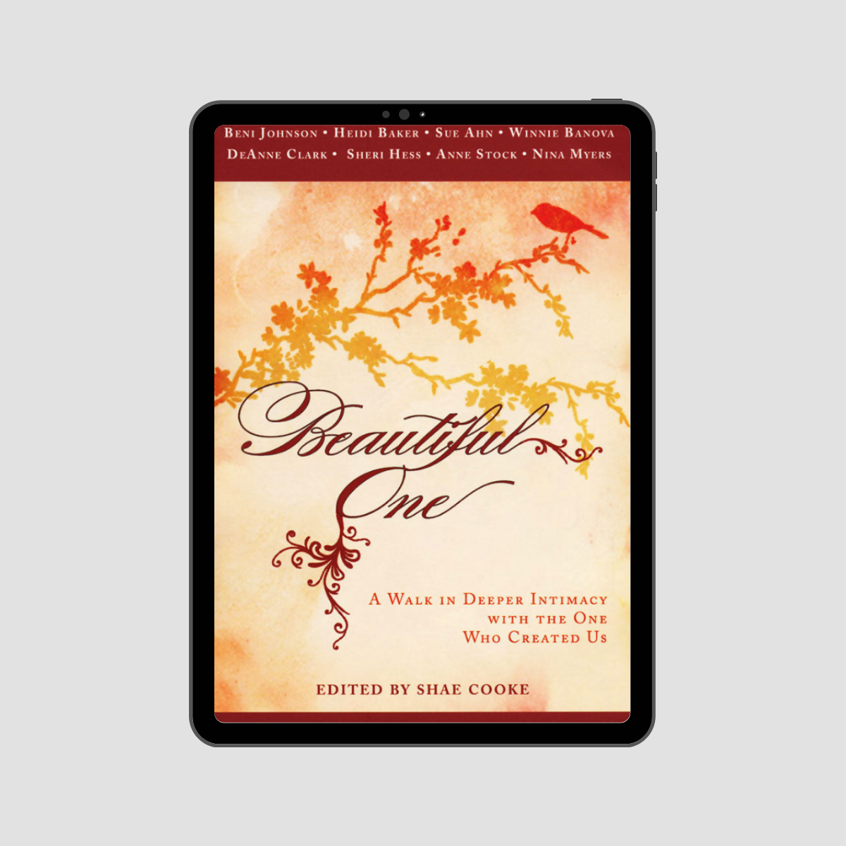 Beautiful One eBook