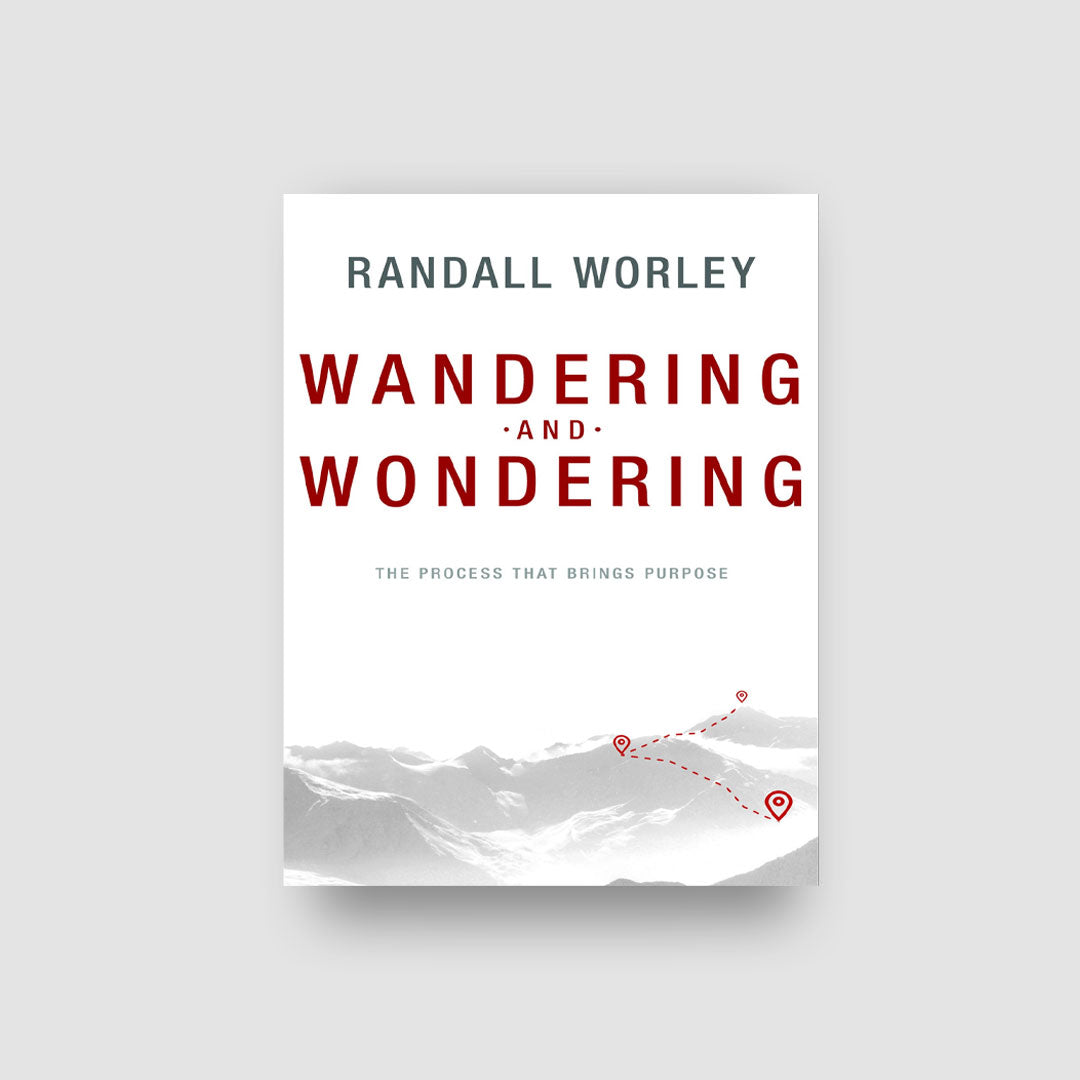 Wandering and Wondering eBook
