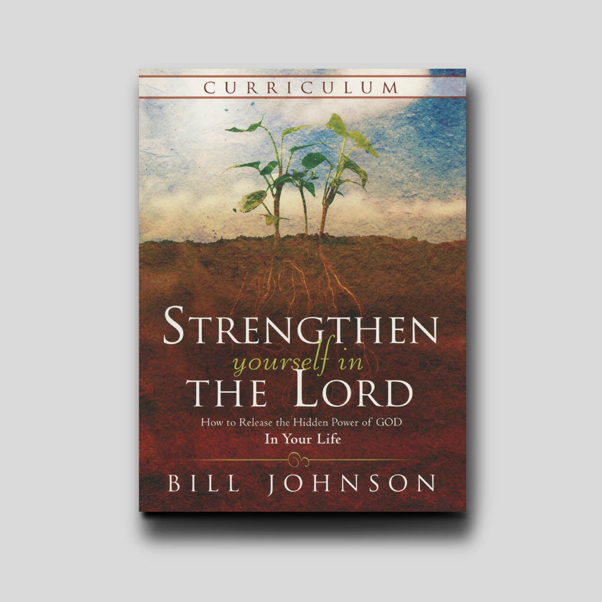 Strengthen Yourself In the Lord Study Guide