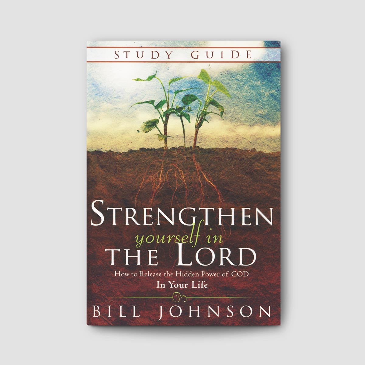 Strengthen Yourself In the Lord Study Guide