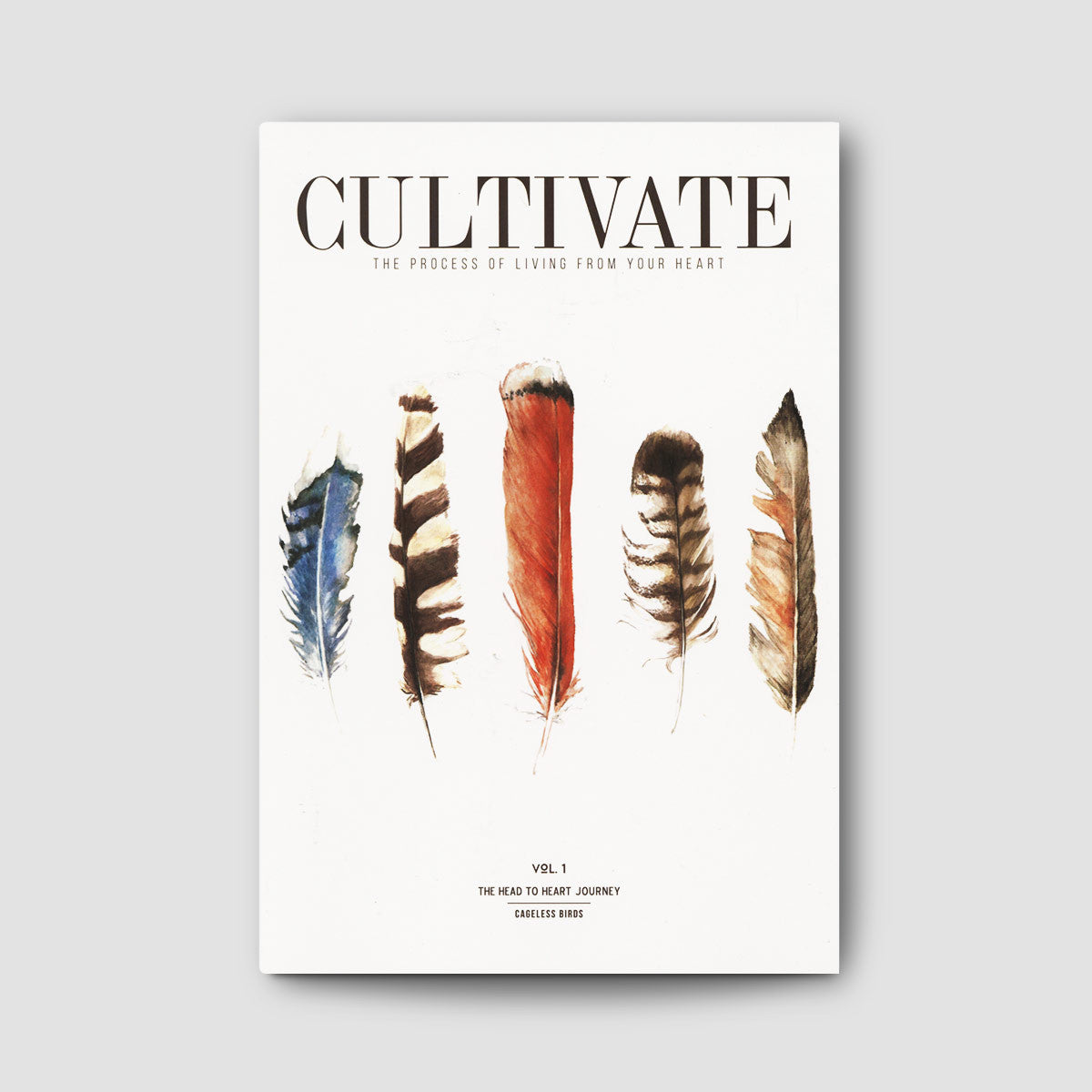 Cultivate Vol. 1