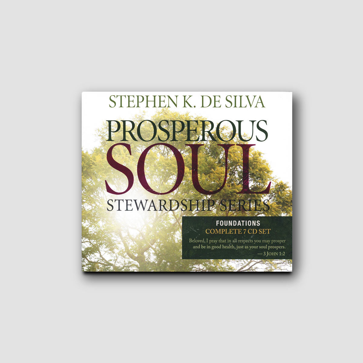 Prosperous Soul Foundations Teaching Series