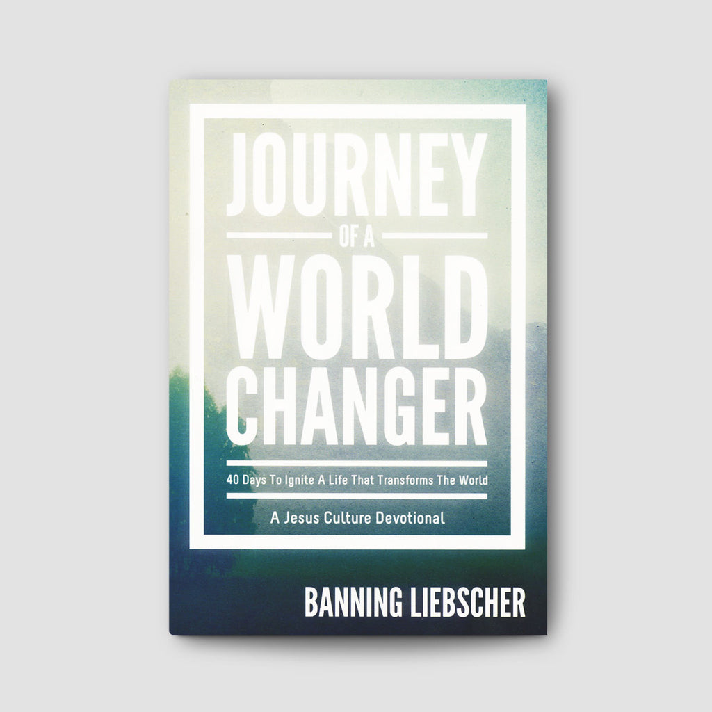 Journey of a World Changer Book