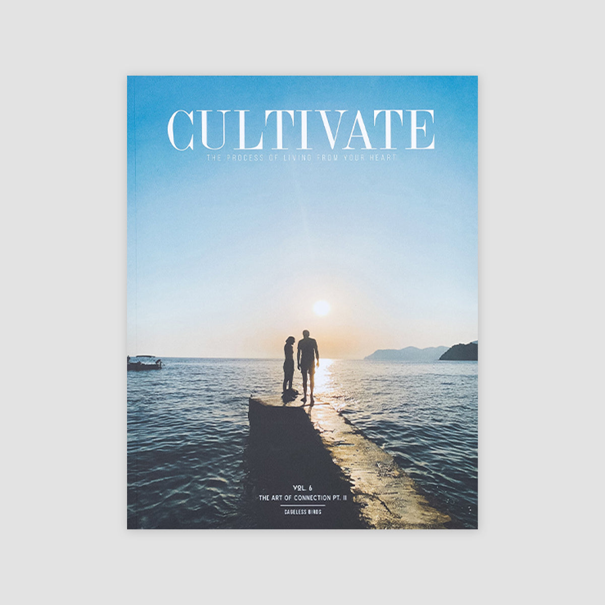Cultivate Vol. 6