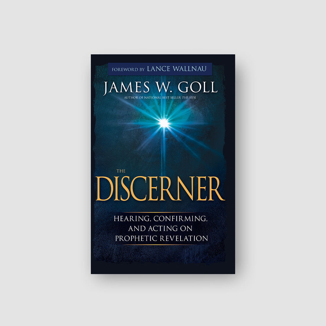 The Discerner eBook