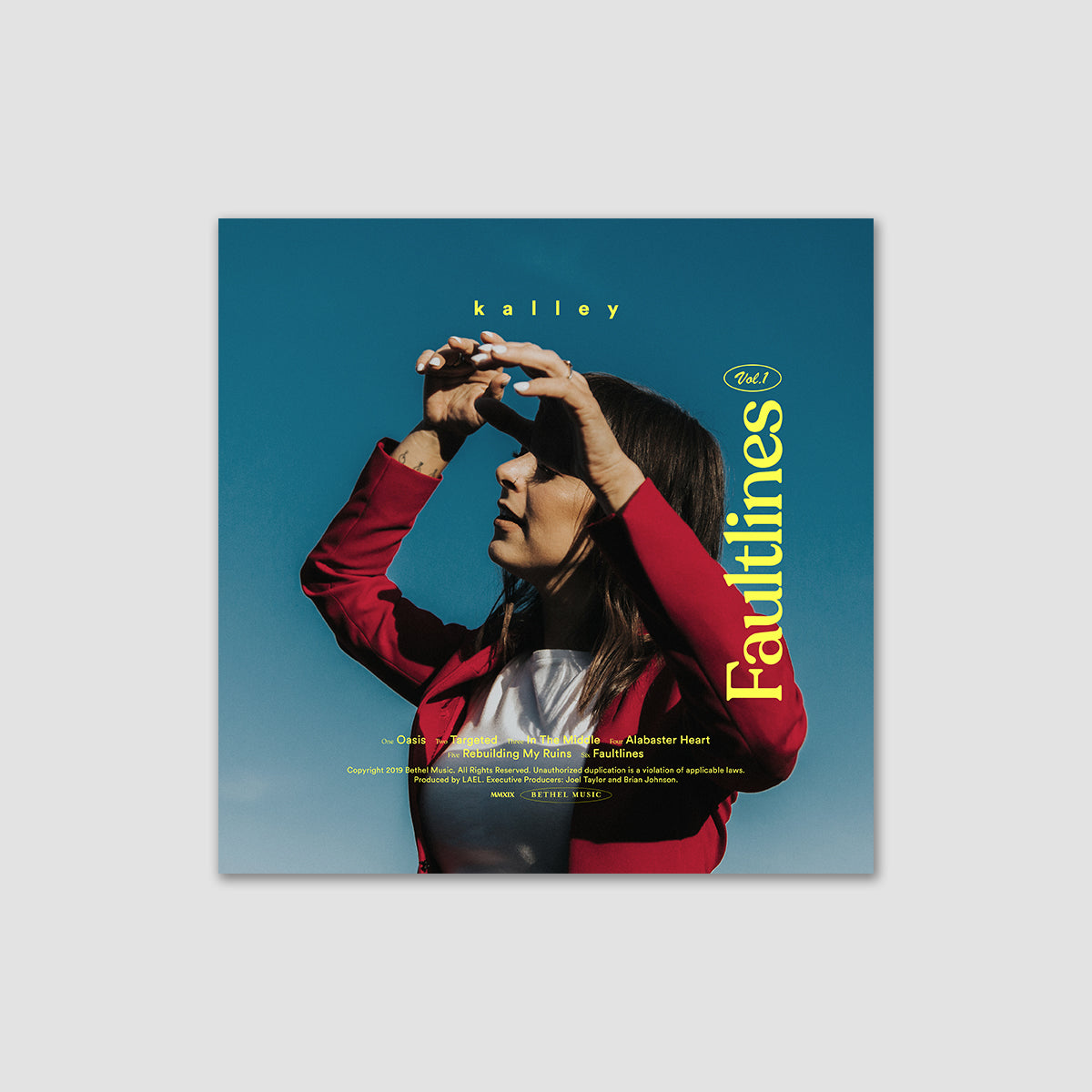 Faultlines Vol. 1 EP