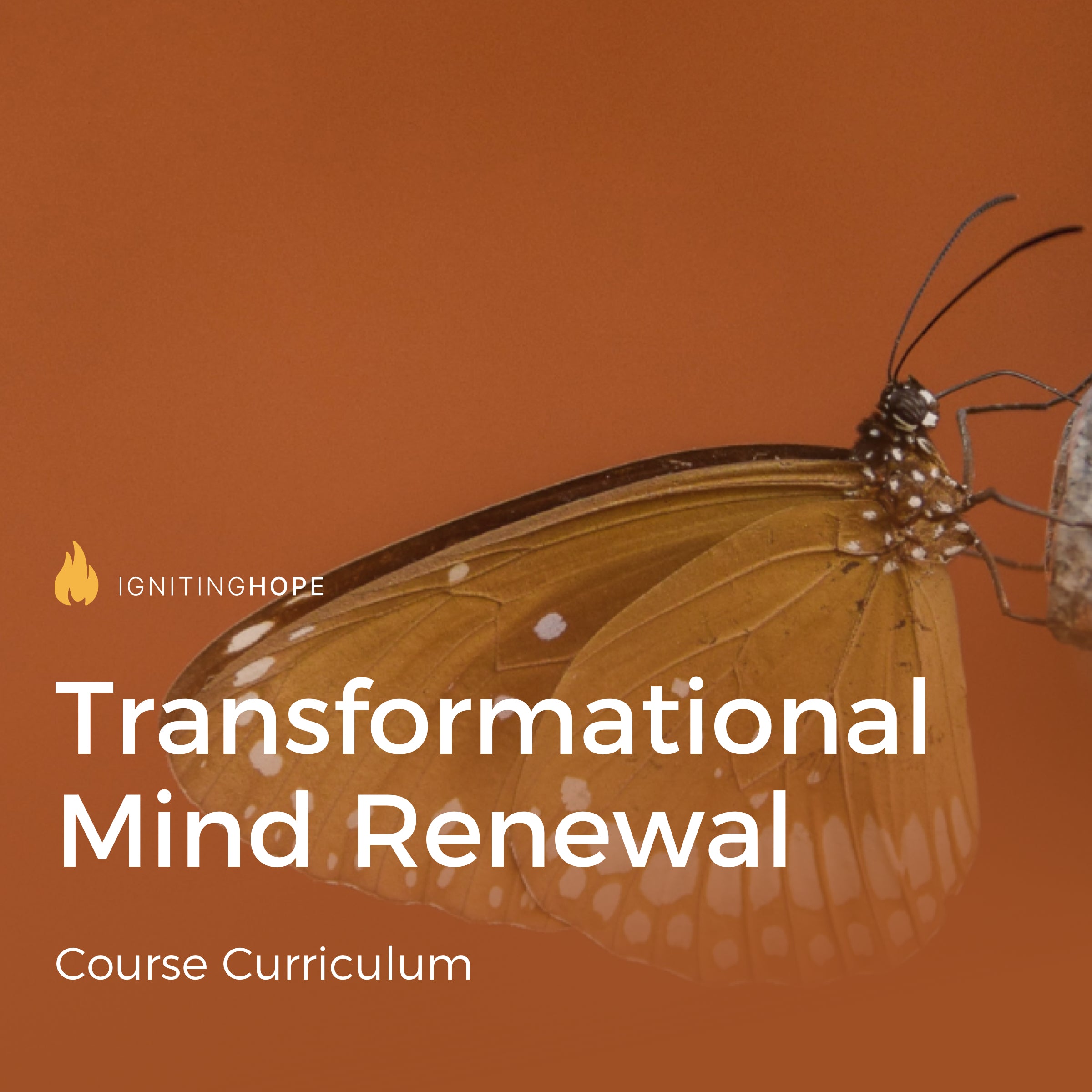 Transformational Mind ﻿Renewal Course Curriculum Bundle